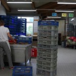IMG_0607 (Mittel)