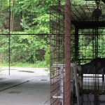IMG_7386 Kopie_bearbeitet-1 (Mittel)