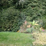 IMG_0180 (Mittel)