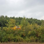 IMG_0769