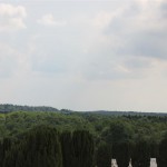 IMG_0962 (Mittel)
