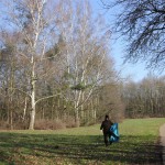 IMG_5126 (Mittel)