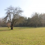IMG_5127 (Mittel)