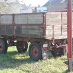IMG_5134 (Mittel)