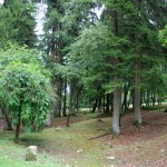 IMG_9119 (Mittel)