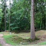 IMG_9122 (Mittel)