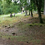 IMG_9126 (Mittel)