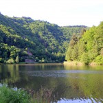 IMG_6615 (Mittel)
