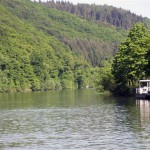 IMG_6623 (Mittel)