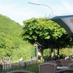 IMG_6626 (Mittel)