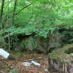 IMG_7360 (Mittel)