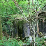 IMG_7363 (Mittel)