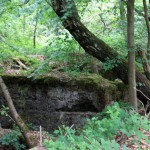 IMG_7364 (Mittel)