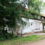 IMG_7376 (Mittel)