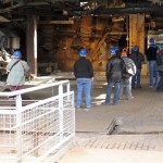 IMG_5604 (Mittel)