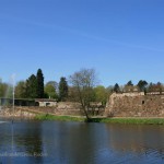 IMG_5696 (Mittel)