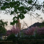 IMG_5717 (Mittel)