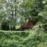 IMG_7049 (Mittel)