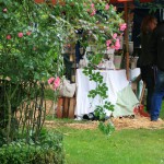 IMG_7053 (Mittel)