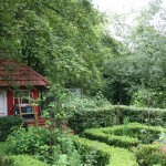 IMG_7064 (Mittel)