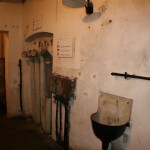 IMG_4679 (Mittel)