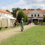 IMG_6935