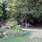 IMG_9214 (Mittel)