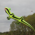 img_8038