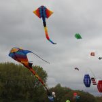 img_8040